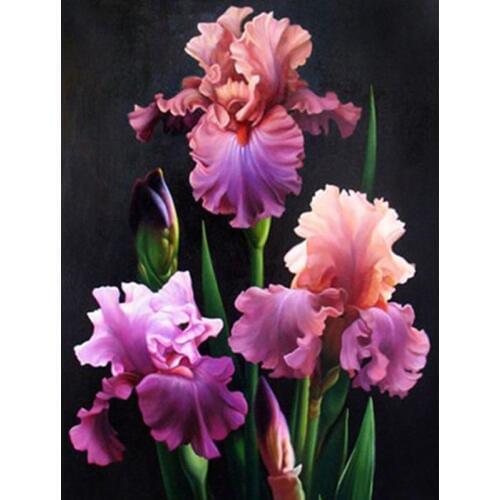 Craft Painting 5d Diamond Painting Needlework Diy Painting Rhinestones Colorful Flowers Diamond Art Wall Arts Decor