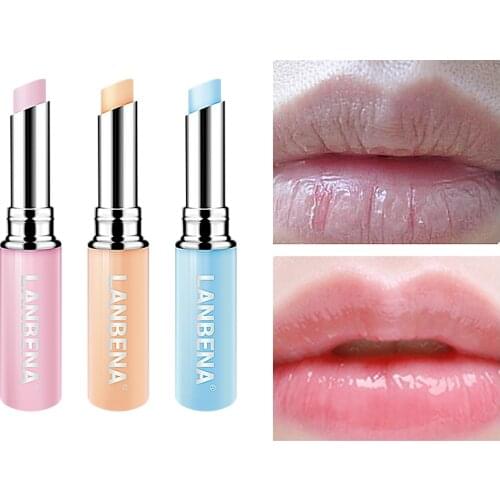 Natural Plants Mosturizing Lip Balm Rose Cherry Improve Brighten Lip Color Non Greasy Soften Remove Dead Skin Repair Lip Gloss