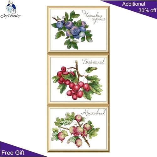 Joy Sunday Blueberry Hawthorn Fig J502 J503 J504 14CT 11CT Counted and Stamped Fruit Embroidery DIY Cross Stitch kits