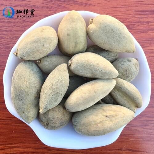 Chinese Gall Galla Chinensis Rhus Chinensis Mill. WuBeiZi