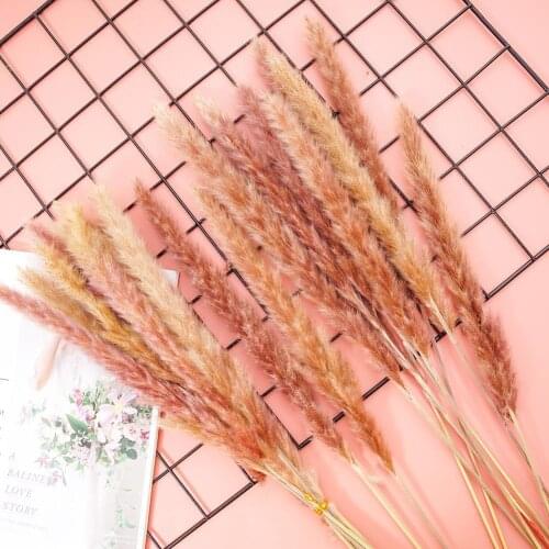 10Pcs Real Reed Flower Natural Dried Flower Wedding Party Decoration Diy Craft Scrapbook Home Decoration Reed Bouquet Artificial