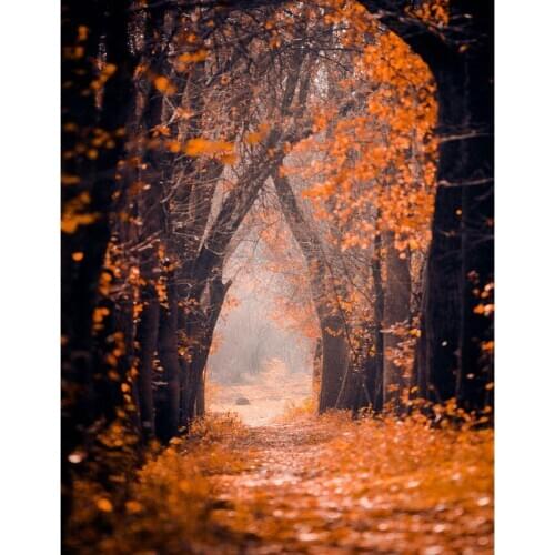 LIFE MAGIC BOX Backdrops For Photography Studio Forest Large Vinyl The Background S-2339