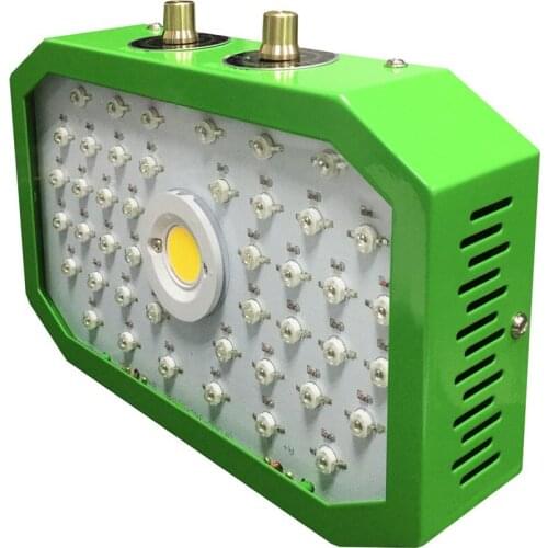 New COB Full Spectrum 900/1000/1200/1800/2000W LED Grow Light 410-730nm for Indoor Plants and Flower Greenhouse Grow Tent
