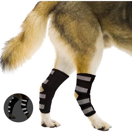 Pet Reflective Knee Pads Dog Support Brace For Leg Hock Joint Wrap Breathable Injury Recover Legs Dog Protector Support