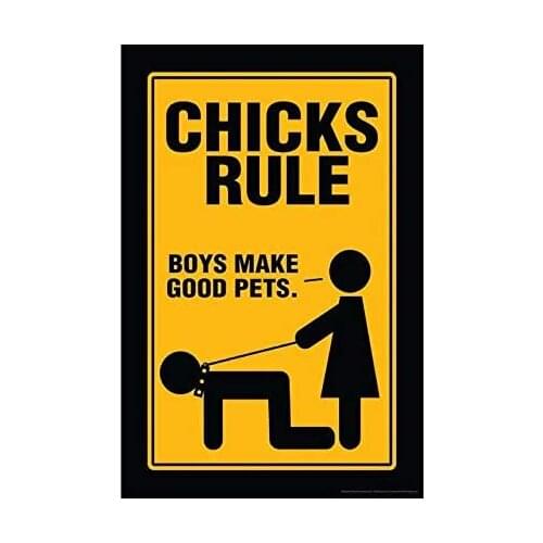 Outdoor Indoor Chicks Rule Funny Metal Sign Bar Pub Plaque Party Vintage Giftation