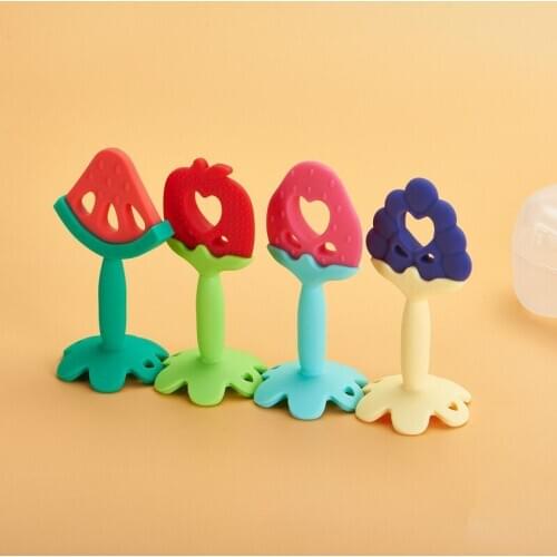 Baby Teether Food Silicone Bite Molar Stick Fruit Teethers for Kids Infant Chew Tooth Training Toys Baby Fun Play Mouth with Box