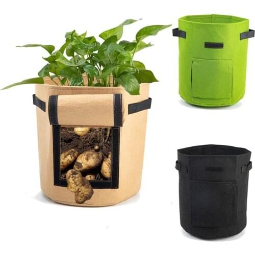 Intelitopia Outdoor Pots