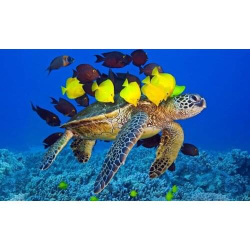 Picture Diamond Mosaic Handmade Animal Cross Stitch Resin Square/round Diamond Painting Sets Decorative Diamond Embroidery