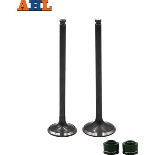 AHL 1 Pair Intake Exhaust Valve Kit Valve Stem Oil Seals For SUZUKI AN250 AN 250 1998-2007 DR250 1990-1995 (1 intake&1 exhaust)