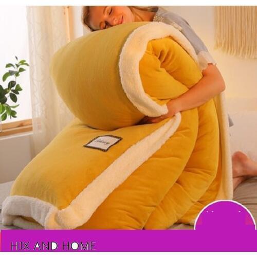 Warm and comfortable in winter Quilt cover Plus core Quilt king queen full size Comforter Winter Thick Blanket Solid Color