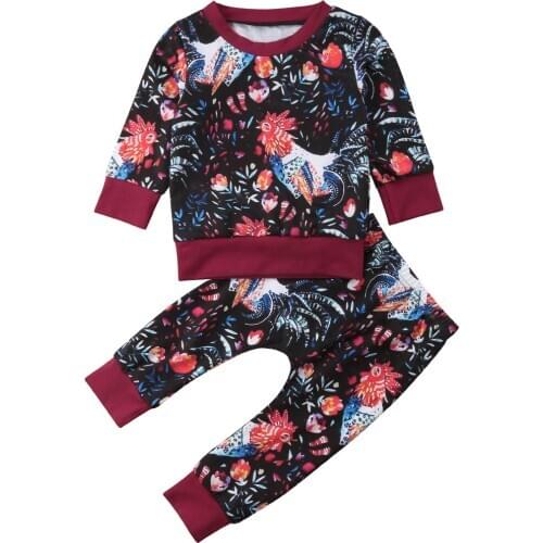 2PCS Toddler Kids Baby Girls Clothes Sweatshirt Tops Pants Tracksuit Outfits Set Size 0-3T