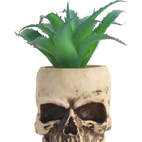 Skull Bowl Figurine Skeleton Head Gardening Planter Sculptural Flower Pot Plant Container Decorative Bowl