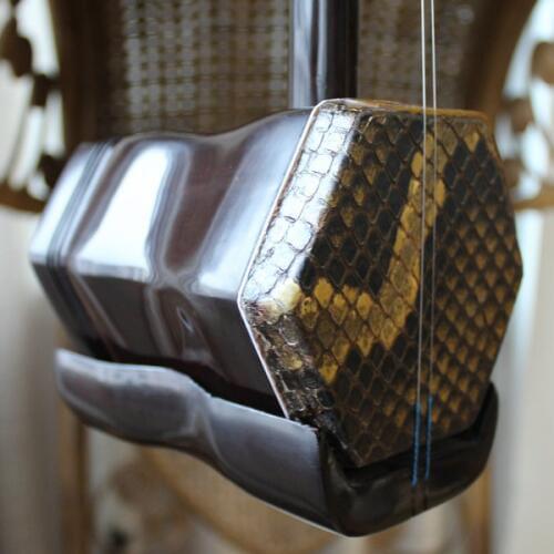 Chinese erhu wholesale super good python skin perfect voice Employs a musical instrument High-grade violin case bag and erhu bow