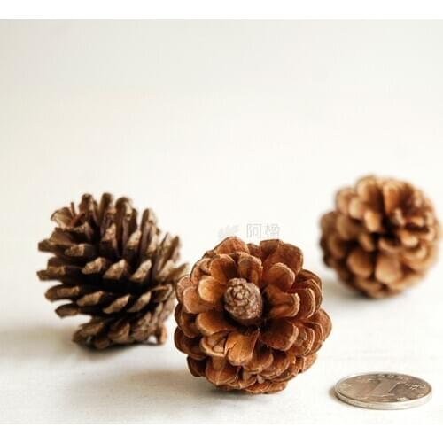 Pinecone pine cone natural plants Decorative Flowers dried flower crafts material zakka props home decoration dried flower