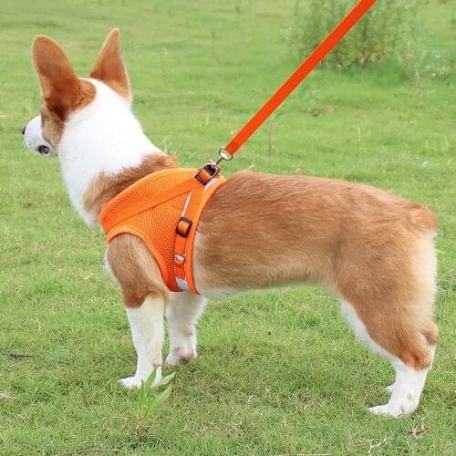 Durable Traction Rope 360 Degree Reflective Design Explosion Proof Polyester Pet Dog Chest Strap for Outdoor Walking Dogs Goods