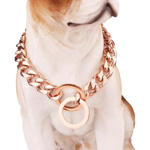 12mm Width Luxury Wedding Pet Necklace Golden Choke Dog Collar Stainless Steel Heavy Duty P Chain For Large Dogs French Bulldog