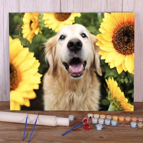 Animal Golden Retriever DIY Paint By Numbers Kit Acrylic Paints 50*70 Canvas Painting Home Decoration For Adults Wholesale