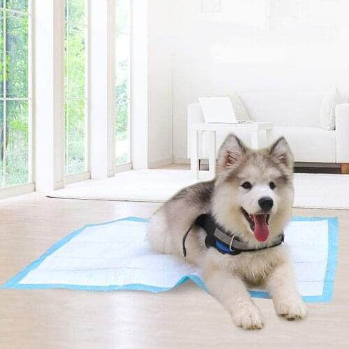 100/50/40/20Pcs Disposable Pet Nappy Mat Super Water Absorption 5-Layer Cat Dog Puppy Training Pee Pads Pet Diaper Potty Pad