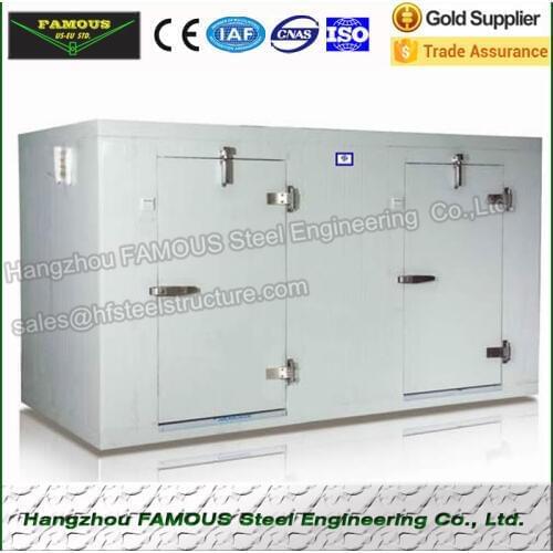Walking in freezer, cold storage system for fish and deep frozen freezer walking store for meat, cold storage container