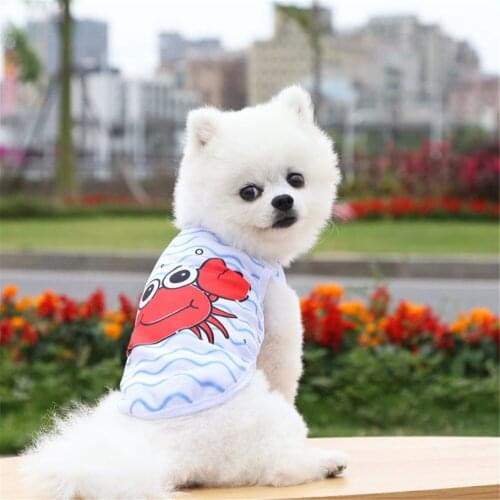 Pet Watermelon Vest Comfortable Fruit Pineapple Vest Mesh Breathable Dog Clothes Vest Cat Pet Products Teddy Spring/Summer