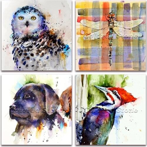5D Full Square Diamond painting embroidery Cross stitch Animals colorful bird owl woodpecker dragonfly dog DIY Drill mosaic 141