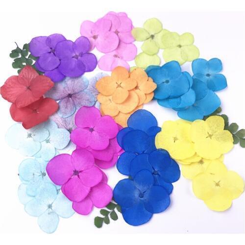 24pcs,Nature Pressed Hydrangea Flower Petals,Real flowers for Nail Art Decoration DIY Flora Gel Manicure Stickers Craft Bookmark