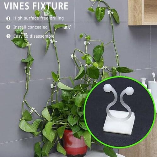 Plant Climbing Wall Rattan Clamp Clip Self-Adhesive Sticky Hook Rattan Fixed Clip Plant Fastener Vine Clips Garden Supplies