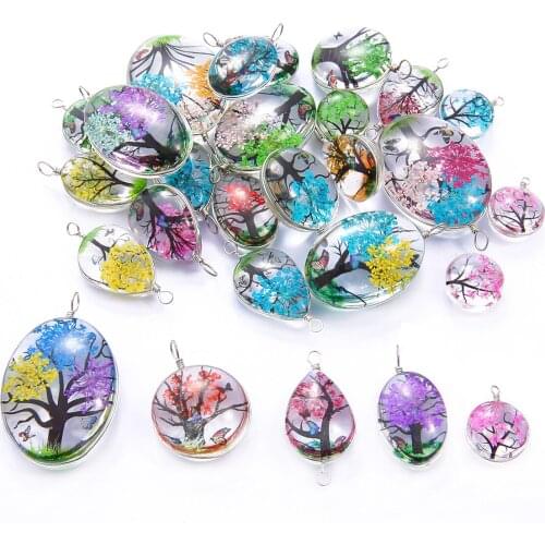 2021 Dried Flower Cabochon Glass Charms Fit Necklace Earrings Round Pendant For Jewelry Making DIY Accessories 2pcs/ Lot