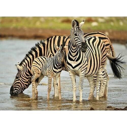 Full square / round 5D DIY Diamond Painting zebra animal picture Mosaic Diamond Embroidery Sale Decoration Painting GH565