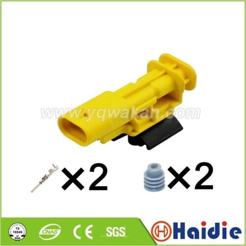 5sets 2pin Tyco auto housing wire electrical male cable connector with terminals 1-1703498-4