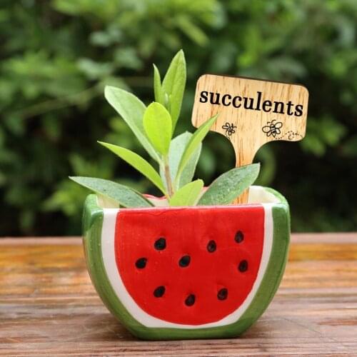 50Pcs Bamboo Plant Labels Eco-Friendly T-Type Wooden Sign Tag Natural Home Garden Marker Potted Decorative Crafts