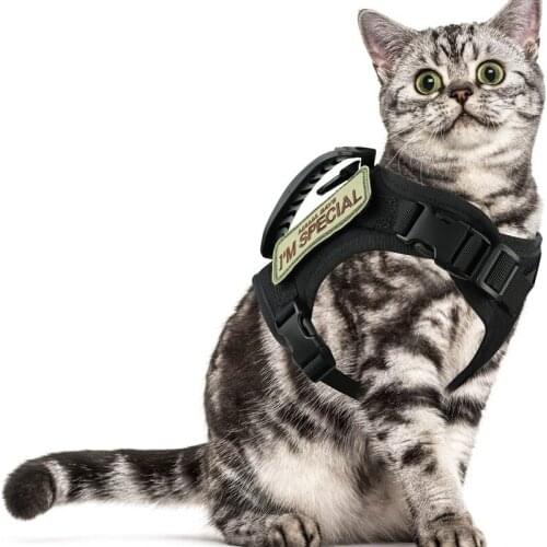 Cat Cloth Tactical Cat Harness for Walking Escape Proof, Soft Mesh Adjustable Pet Vest Harness for Large Cat Small Dog Rabbit
