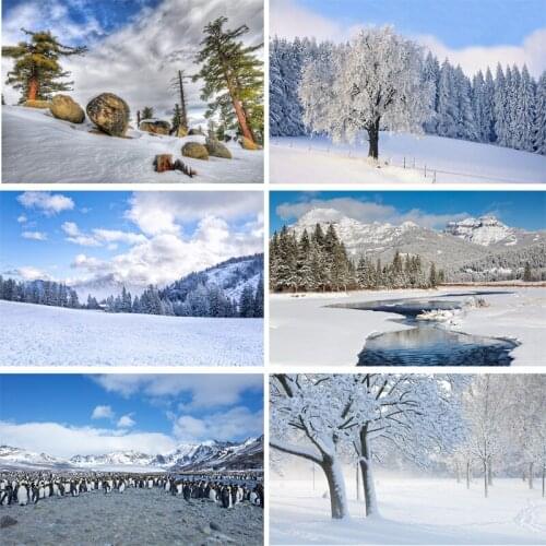 Vinyl Custom Photography Backdrops Prop Winter landscape Theme Photography Background 200309HD-012
