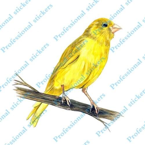 Funny 13cm x 12.7cm Yellow Canary Finch Bird Watching Home Office Room Camp Decor Decal Wall Art Car Sticker Graphic