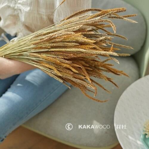 INS Northern European-Style Natural Dried Flower Hay Plant Decorative Grass Home Soft Decoration Art Flower