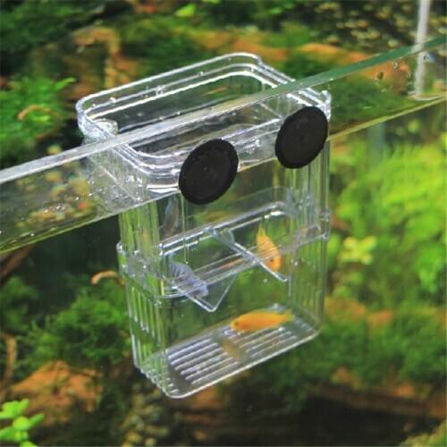 Effosola Home Aquariums