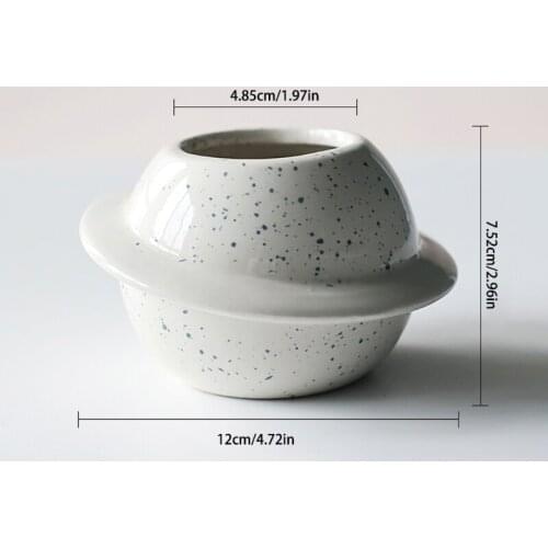 Creative Planet Succulent Pot Ceramic Planter with Drainage Hole Cactus Plant Fl F19B