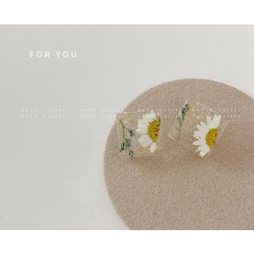 S925 Spring And Summer New Real Dried Flower Eternal Flower Small Daisy Acrylic Geometric Transparent Fashion Earrings