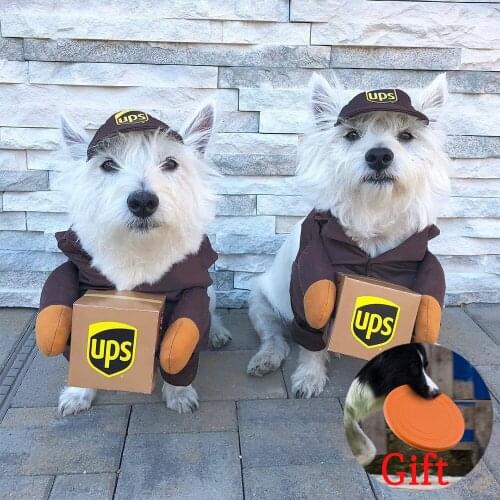 Pet Cat Dog Festival Party Clothing Pet Dog Funny Clothes Dogs Cosplay Costume Halloween Christmas Comical Outfits With Wig Set