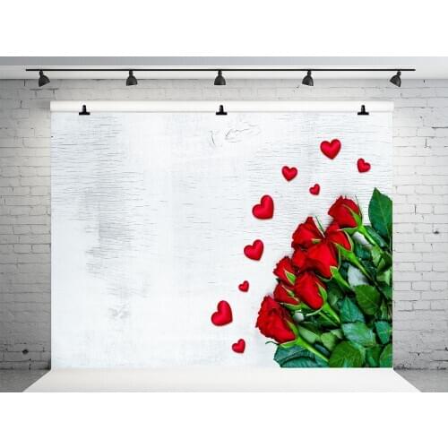VinylBDS 300x300cm Valentine 'S Day Backgrounds For Photo Studio Children Background Photography Withe Doors Microfiber Backdrop