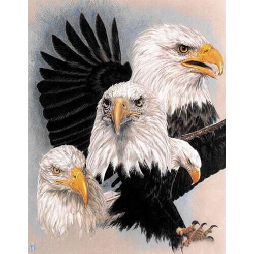 Paintings Diamond Mosaic 5D DIY Diamond Painting Eagles Family 5d Cross Stitch Full Square Diamond Embroidery Wall Sticker FZ709