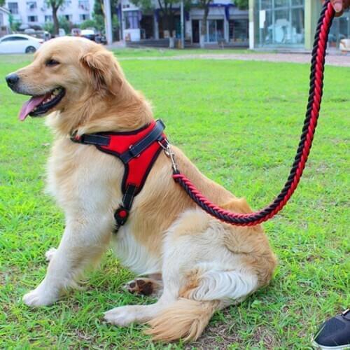 High Quality Reflective Dog Leash and Harness Sets for Small Medium Large Dog Chest Strap Teddy Golden Walking Dog Supplies