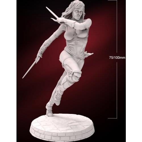 1/24 75mm 1/18 100mm Resin Model Sexy Girl Warrior Figure Unpainted No Color RW-277