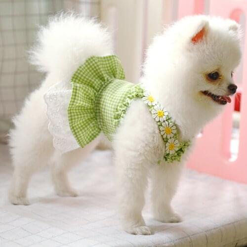 Spring Cute Puppy Dog Korean Dress Blue Green Lattice Princess Lace Dresses Dog Clothing Summer Chihuahua Skirt Pet Dog Clothes
