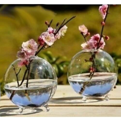 10 Pieces Micro Landscape Glass Bottle Terrarium Container Flower Vase Decor