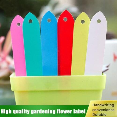 100pcs Ring Plastic Hanging Labels Garden Plant Pot Markers Reusable Waterproof Thick Hook Tree Tags Decoration Tool #P2