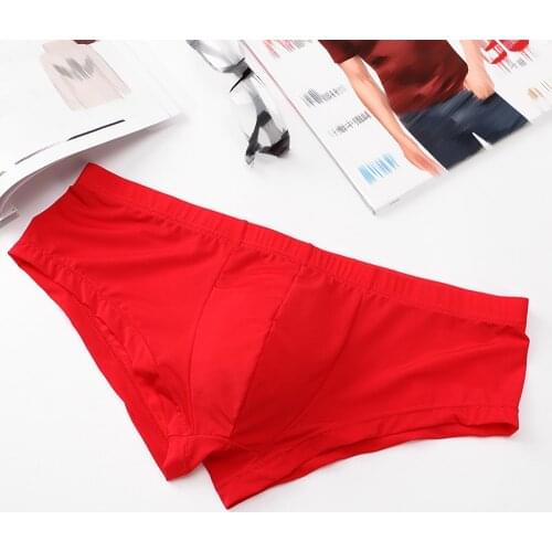 Mens Sexy Transparent Briefs Thongs Low Waist Underwear Underpants Solid Bikini Sexy Lingerie Men Underwear Brief Panties Boxer