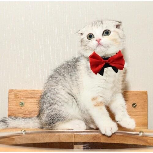 Dog Cat Bow Tie Pet Costume Adjustable Pets Necktie Collar for Small Dogs Puppy Grooming Accessories