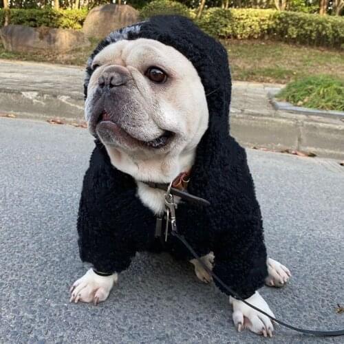 French Bulldog Jacket Winter Warm Coat Sweater Pet Dog Clothes for Small Medium Dogs Schnauzer Corgi Pug Chihuahua Costume WSC11