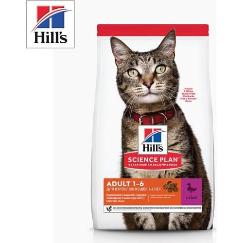 HILL'S Products For Cats